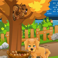 Free online html5 games - Lost Puppy game 