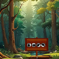 Free online html5 escape games - G2M Field of Keys