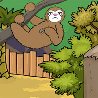 Free online html5 games - Games2Jolly Feed to the Koala Escape game - Games2rule 