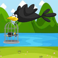 Free online html5 escape games - HOG Pair of Bird Escape