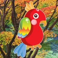 Free online html5 games - Hiddenogames Hidden Birds game 