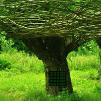 Free online html5 games - Growing Green Tunnel Escape game 
