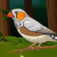 Free online html5 games - G2J Zebra Finch Escape  game 