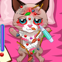 Free online html5 games - Learning Pets Doctor game 