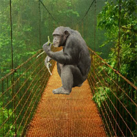Free online html5 games - Baby Chimp Rescue FreeRoomEscape game 