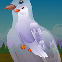 Free online html5 games - G2J Wild Pigeon Escape game - Games2rule 