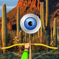 Free online html5 games - Cactus Forest-Hidden Targets game 
