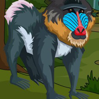 Free online html5 games - G4E Ancient Mandrill Escape game 