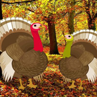 Free online html5 games - Find The Turkey Pair HTML5 game 