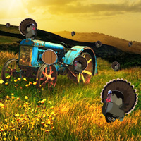 Free online html5 games - Wowescape Wild Turkey Farm Escape game 