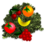 Free online html5 games - Rainbow Girl Collecting Fruits game 