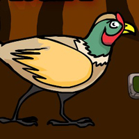 Free online html5 games - G2J Chinese Ring Necked Pheasant Escape game 