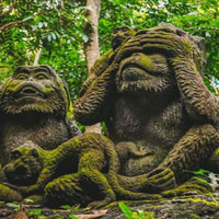 Free online html5 games - Monkey Statue Forest Escape HTML5 game 