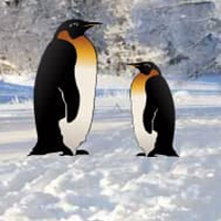 Free online html5 games - penguin snow land escape game 