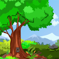 Free online html5 games - Tortoise Forest Escape GamesZone15 game 