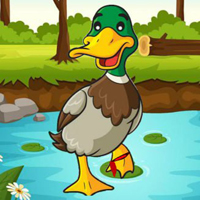 Free online html5 escape games - Help The Charming Duck