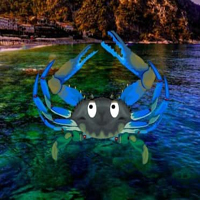 Free online html5 games - Crab Island Escape HTML5 game 