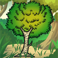 Free online html5 games - Hidden Target-Pine Forest game 